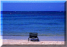 wpe3C0.gif (9126 oCg)